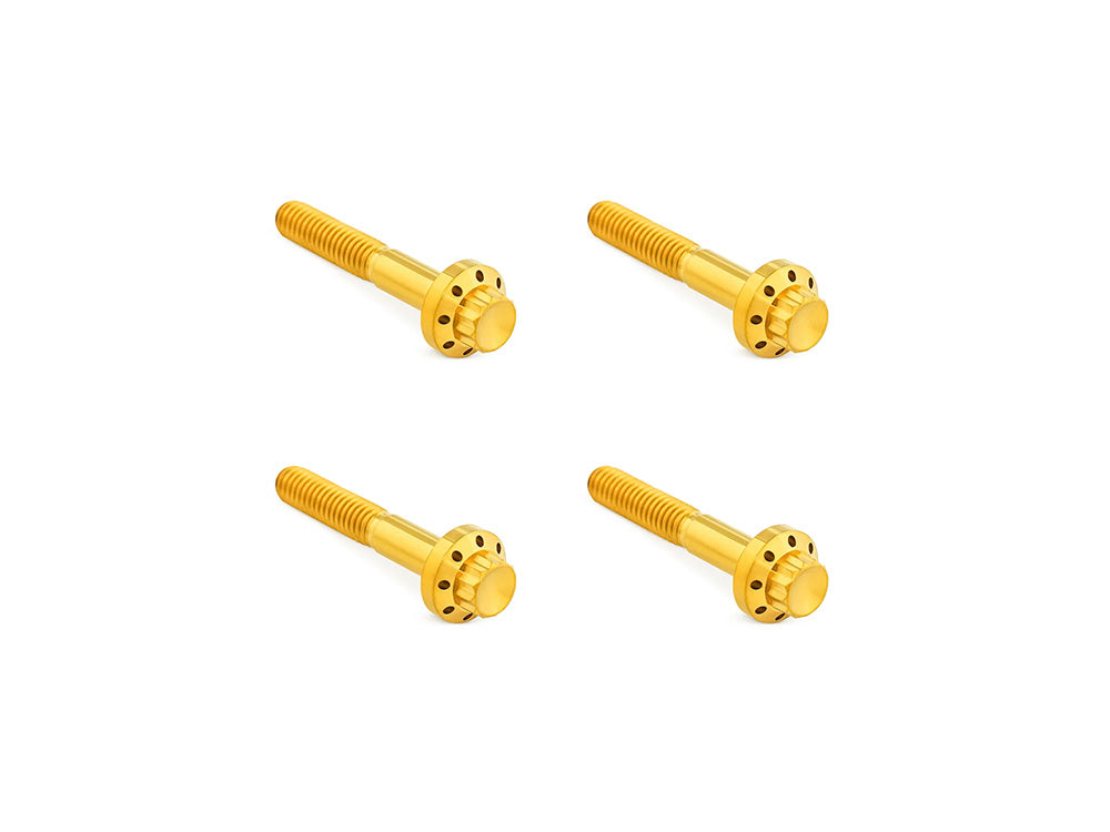 Titanium 12-Point Front Fender Mounting Hardware - Gold. Fits Touring 2009up