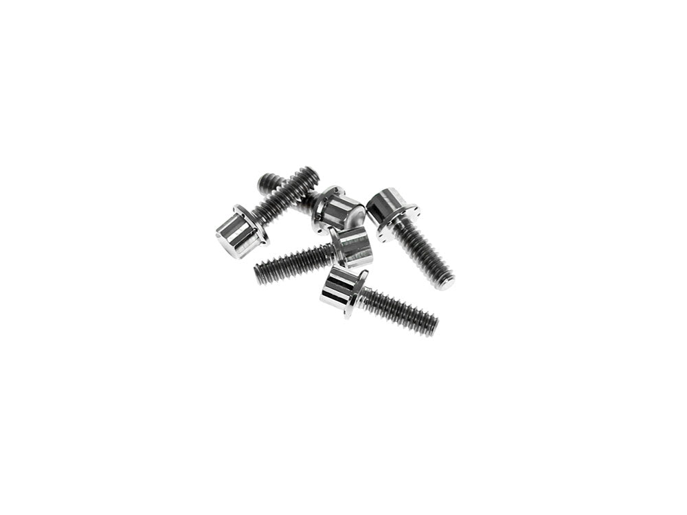 Titanium 12-Point Derby Cover Bolt Kit - Polished. Fits Softail 2018up