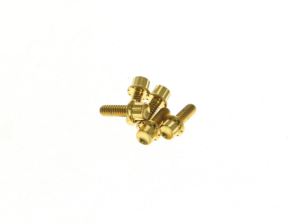 Titanium 12-Point Derby Cover Bolt Kit - Gold. Fits Softail 2018up