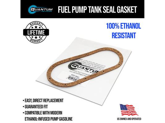 Fuel Pump to Tank Seal. Fits Touring 1995-2001