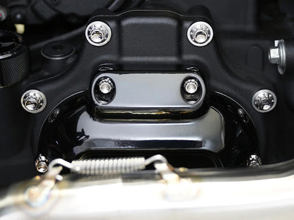 Titanium 12-Point Transmission Side Cover Bolt Kit - Polished. Fits Touring 2024up & Softail 2025up