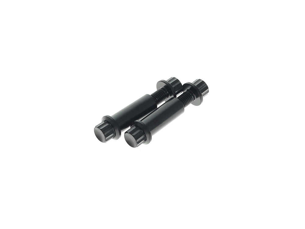 Titanium 12-Point Footpeg Mounting Hardware - Black. Fits H-D Male Mount Footpegs