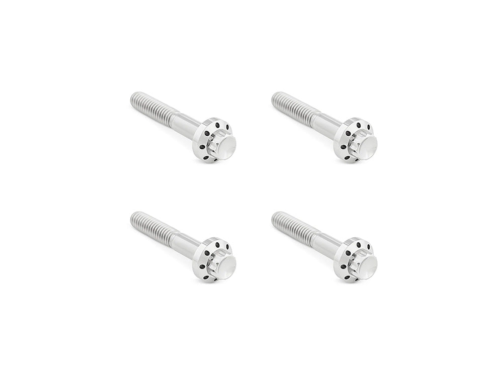 Titanium 12-Point Front Fender Mounting Hardware - Polished. Fits Touring 2009up