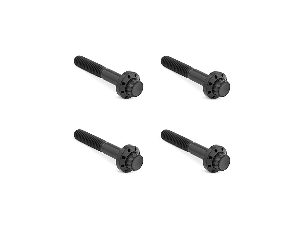 Titanium 12-Point Front Fender Mounting Hardware - Black. Fits Touring 2009up