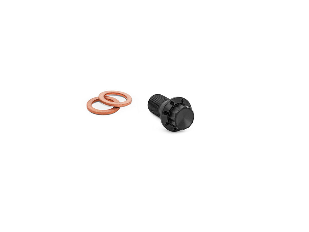 Titanium 12-Point 10mm M10 x 1.00 Banjo Bolt - Black