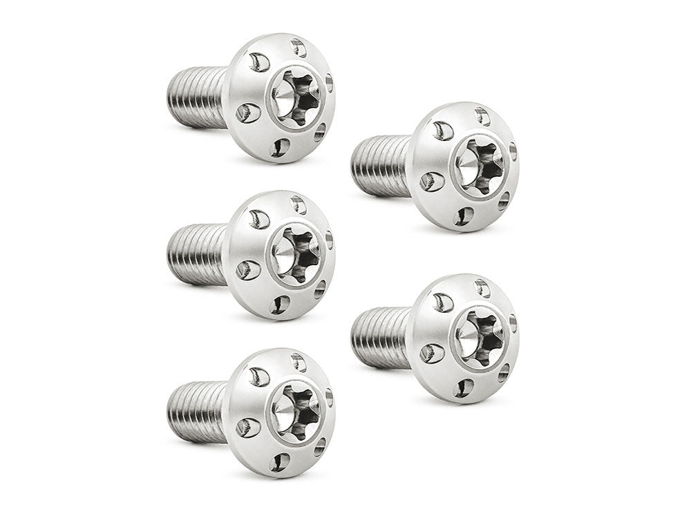 Titanium Rear Disc Rotor Bolts - Polished. Fits H-D Big Twin 1997up & Sportster 1997-2021