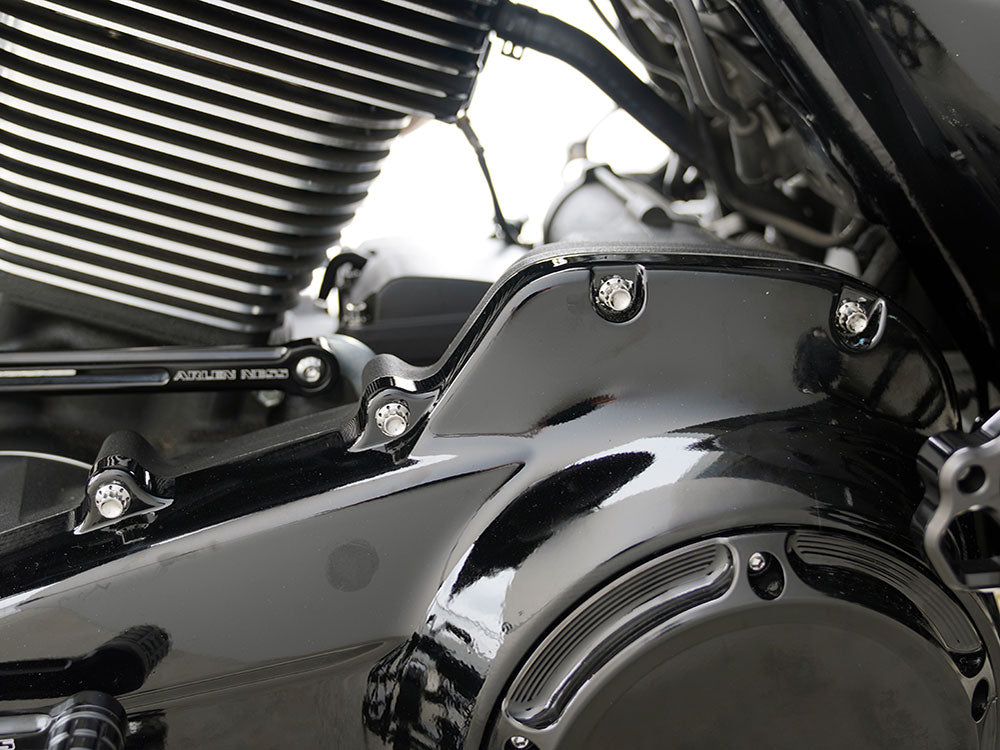 Titanium 12-Point Primary Cover Bolt Kit - Polished. Fits Softail 2007-2017 Non-240 Tyre Models & Touring 2017up