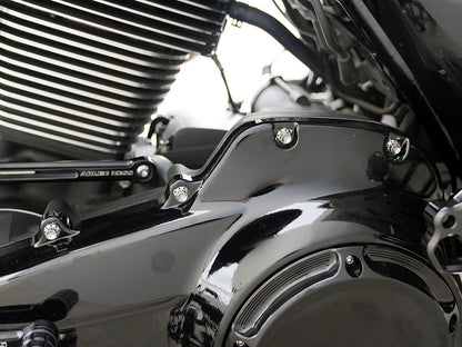 Titanium 12-Point Primary Cover Bolt Kit - Polished. Fits Softail 2007-2017 Non-240 Tyre Models & Touring 2017up