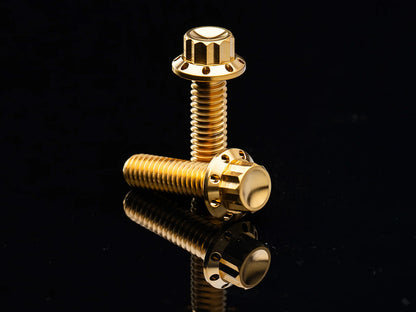 Titanium 12-Point Cam Cover Bolt Kit - Gold. Fits Most Touring 2017-2024 & Softail 2018-2024