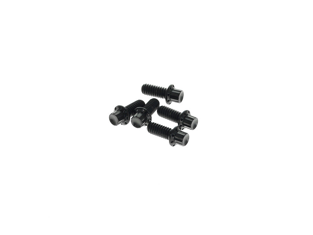 Titanium 12-Point Derby Cover Bolt Kit - Black. Fits Touring 2007up, Softail 2007-2017 & Dyna 2006-2017