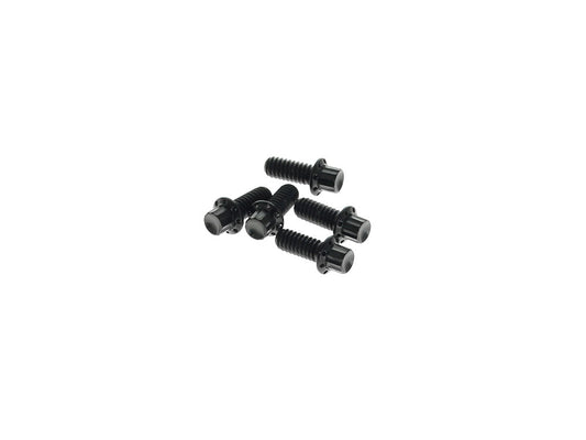 Titanium 12-Point Derby Cover Bolt Kit - Black. Fits Touring 2007up, Softail 2007-2017 & Dyna 2006-2017
