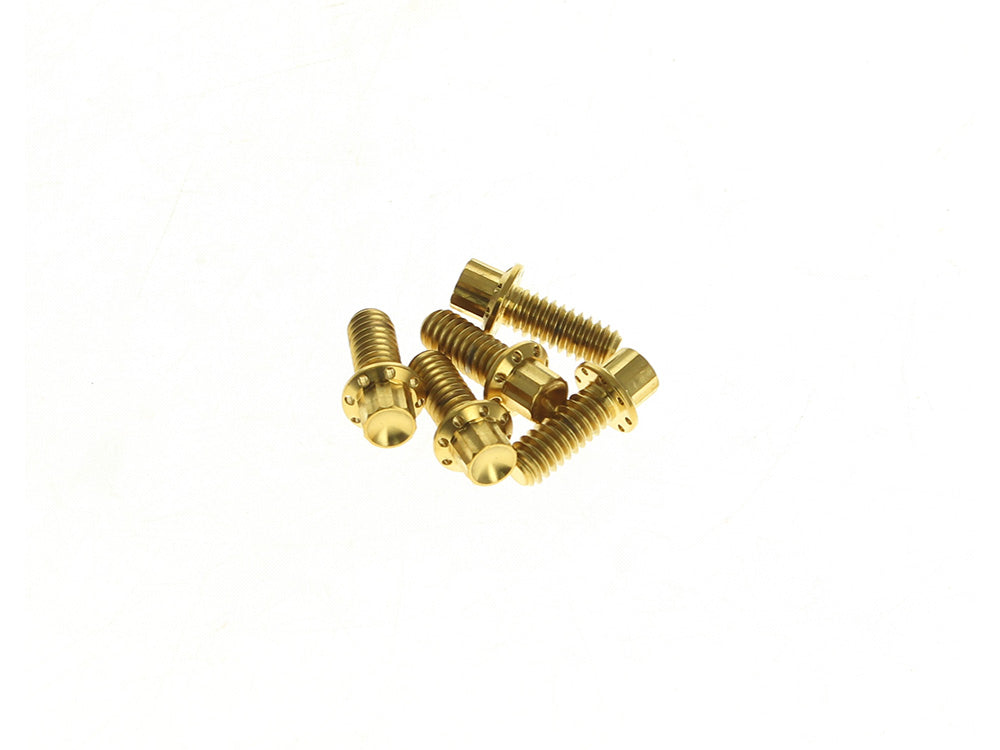Titanium 12-Point Derby Cover Bolt Kit - Gold. Fits Touring 2007up, Softail 2007-2017 & Dyna 2006-2017