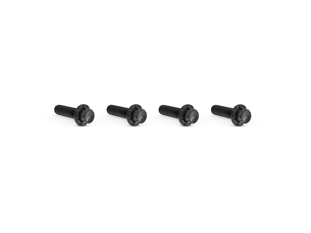 Titanium 12-Point Transmission Top Cover Bolt Kit or Clutch & Brake Perch Bolt Kit - Black. Fits CVO Touring 2023up, Street Glide & Road Glide 2024up, Touring 2025up & Softail 2025up