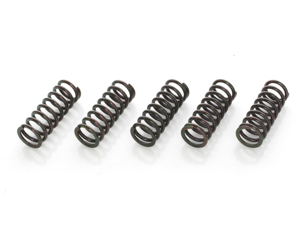 Extra Plate Clutch Kit. Fits Indian Tourers 2014-2020