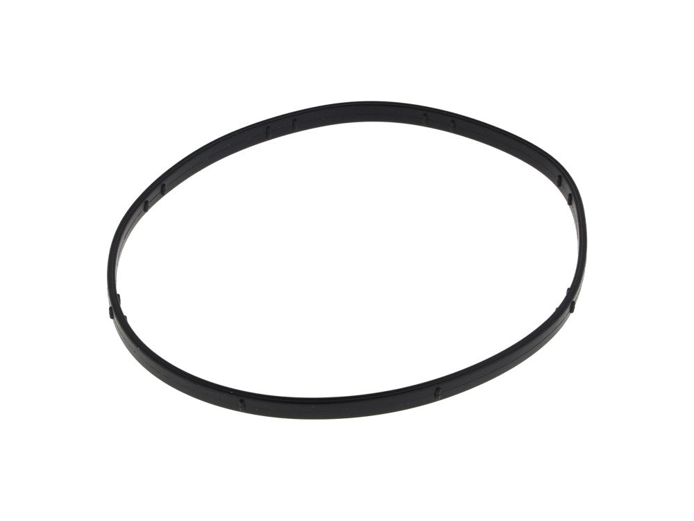 Derby Cover O-Ring. Fits Softail 2018up