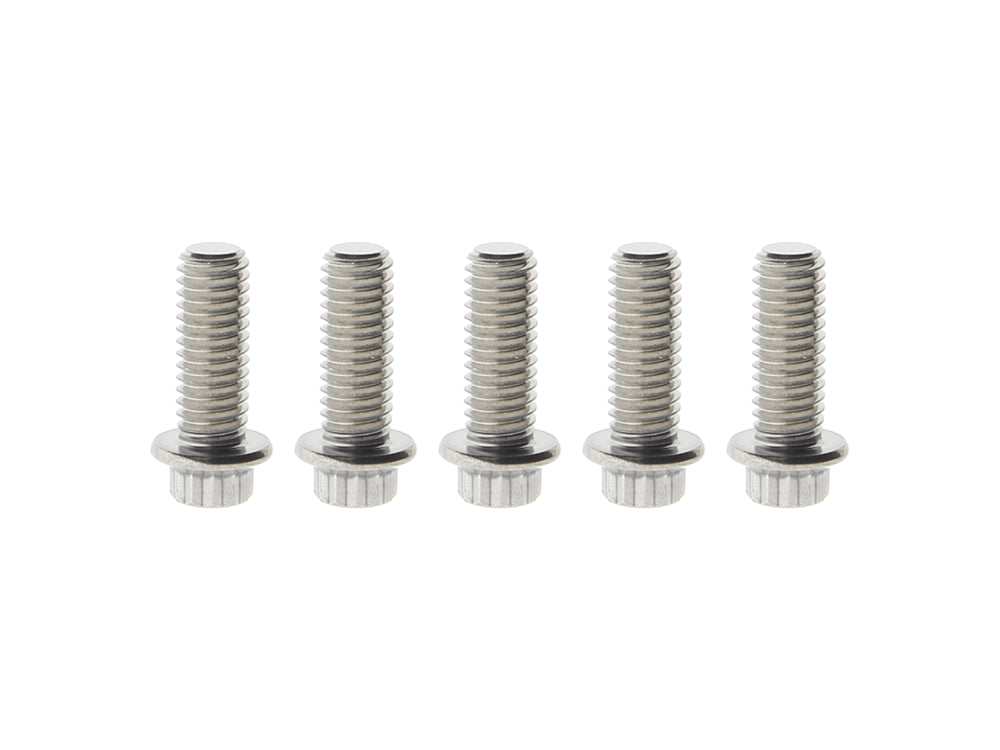 Rear Disc Rotor Bolts - Stainless 12 Point ARP. Fits H-D Big Twin 1997up & Sportster 1997-2021