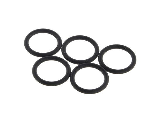 EFI Check Valve Lower O-Ring - Pack 5.