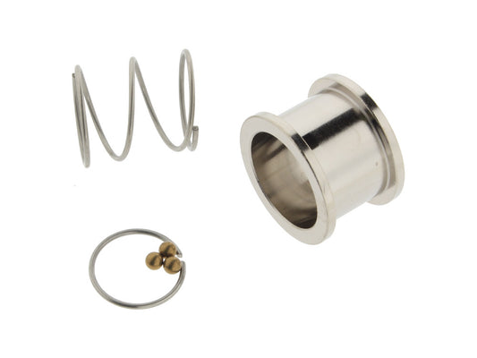 EFI Check Valve Quick Release Rebuild Kit