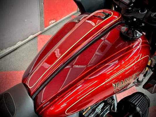 Slimline Custom Dash. Fits Most Softail 2018up.